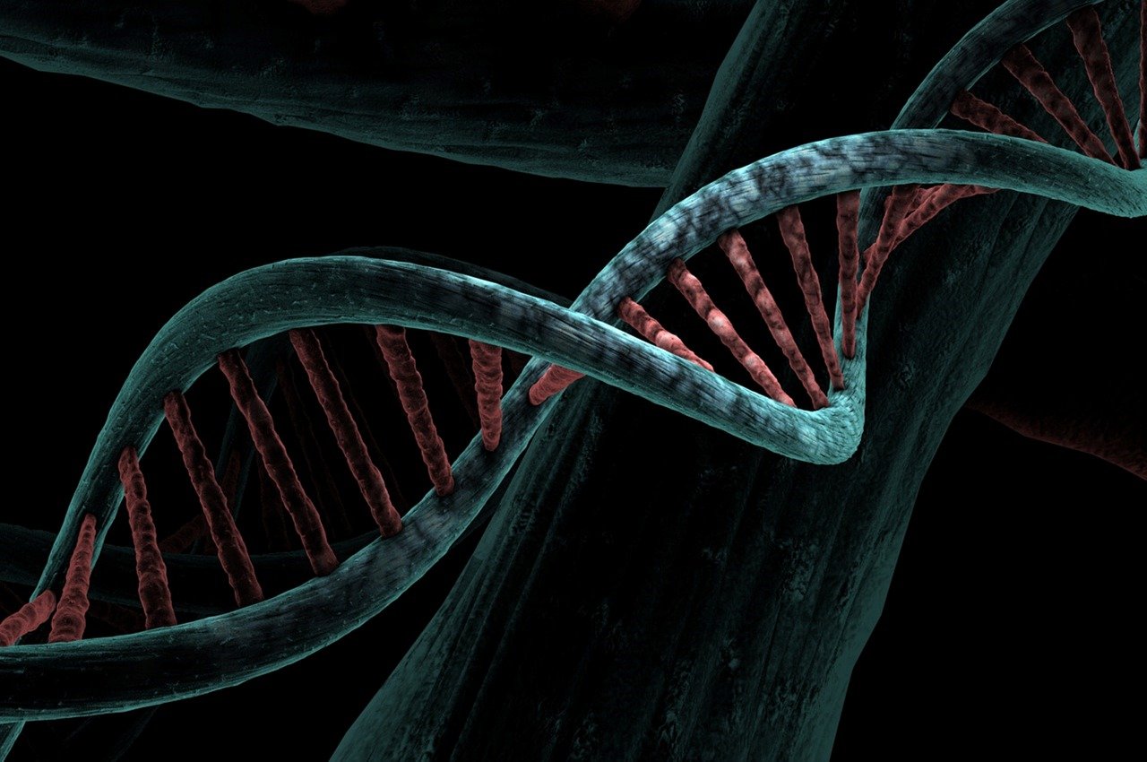 Genetic Testing For Cancer Risk