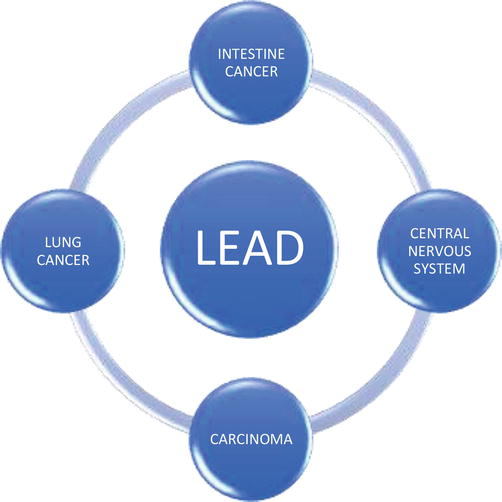 health Heavy Metal Toxicity